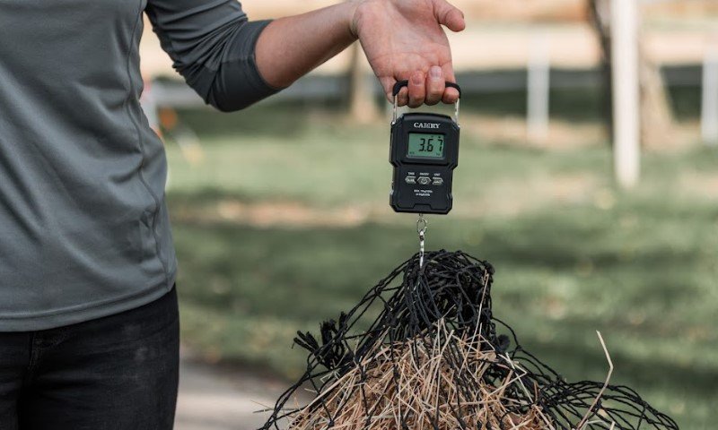 Osoba drži digitalnu vagu s hrpom sijena