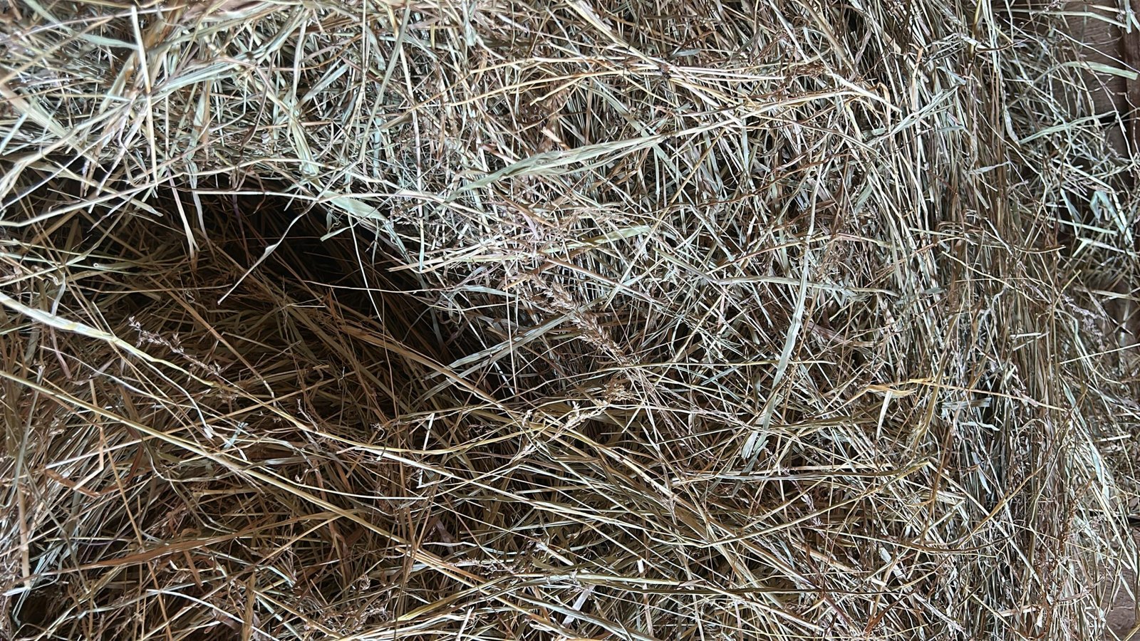 WhatsApp Image 2025 08 16 at 17.12.17 scaled