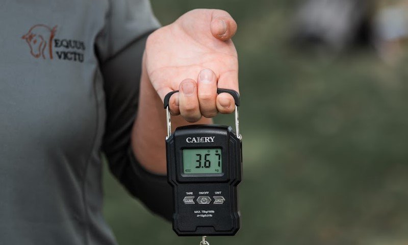 Eine Person hält eine digitale Waage in der Hand