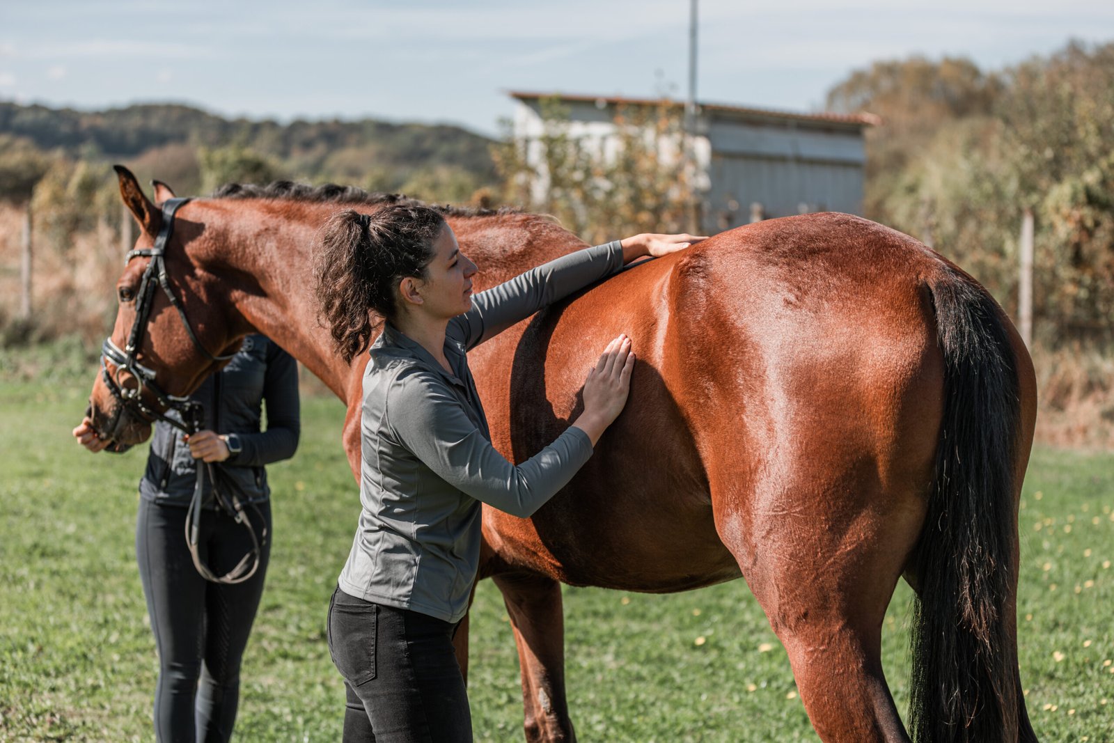 IMGL0359 Enhanced NR scaled