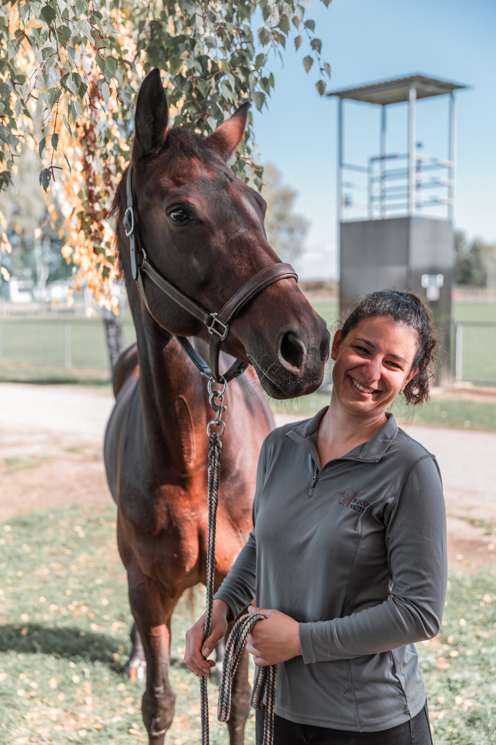 Warum Futterberatung für Ihr Pferd in Österreich sinnvoll ist