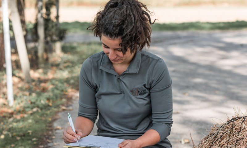 Frau notiert sich Details zur Pferdefütterung auf einem Klemmbrett im Freien