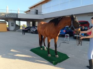 IMG_20250502_175020